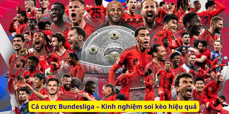 Cá cược Bundesliga – Kinh nghiệm soi kèo hiệu quả