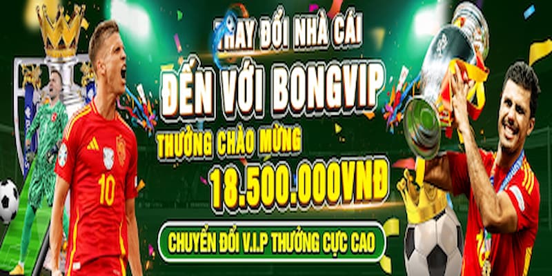 Bongvip - Thiên đường cá cược trực tuyến an toàn nhất