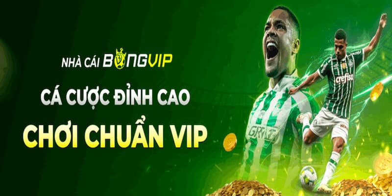 Bongvip - Thiên đường chơi hợp pháp, dịch vụ siêu đỉnh cao
